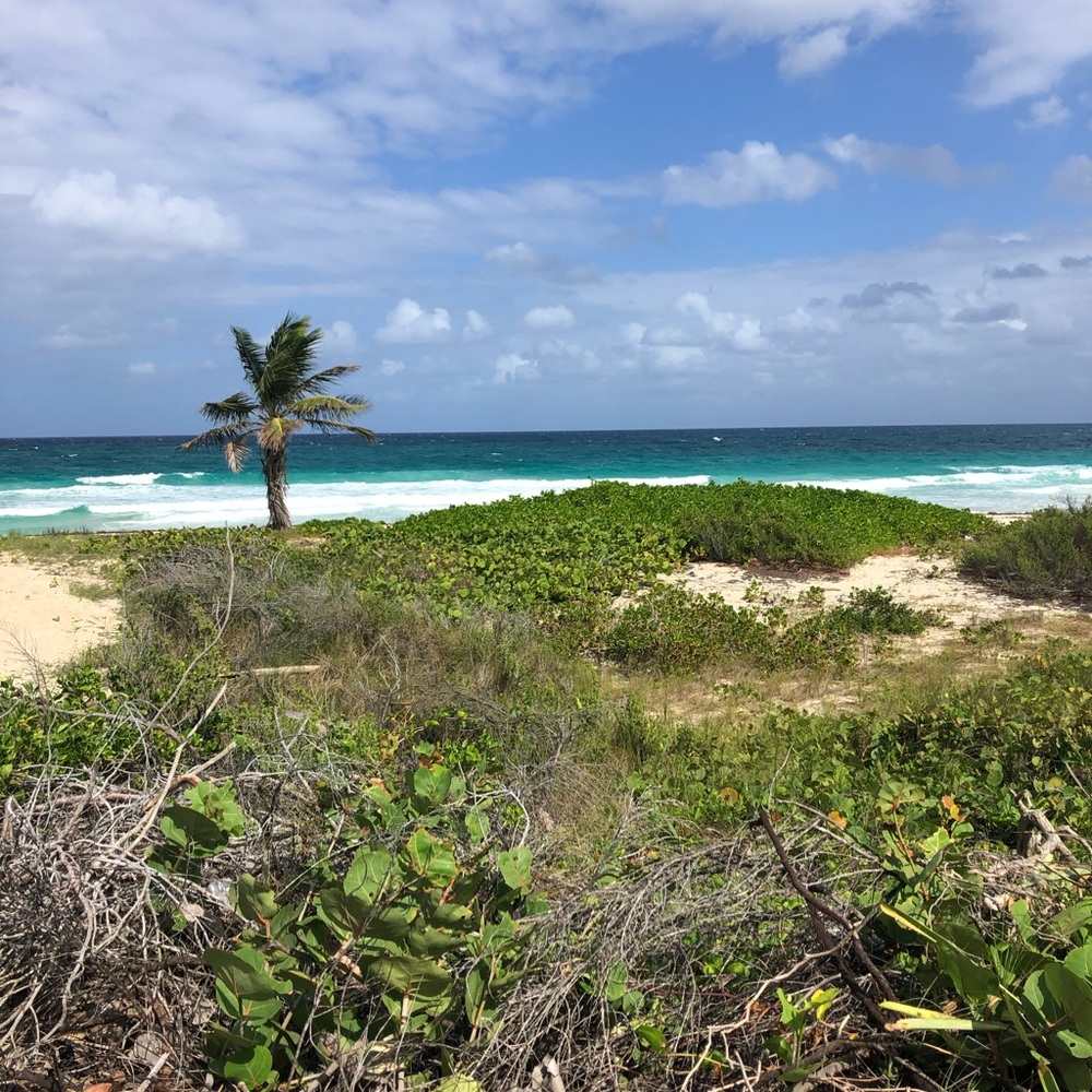 Meet your Posher, Carol